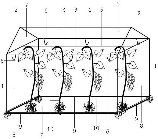 一种防雨放鸟葡萄棚架的制作方法